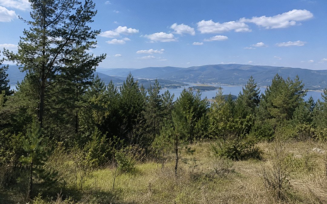 🌿 500 кв.м. имот в землището на гр.Сърница 🌊🏔️ 20 000 евро